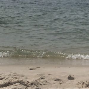 Meet your Posher, Bailee